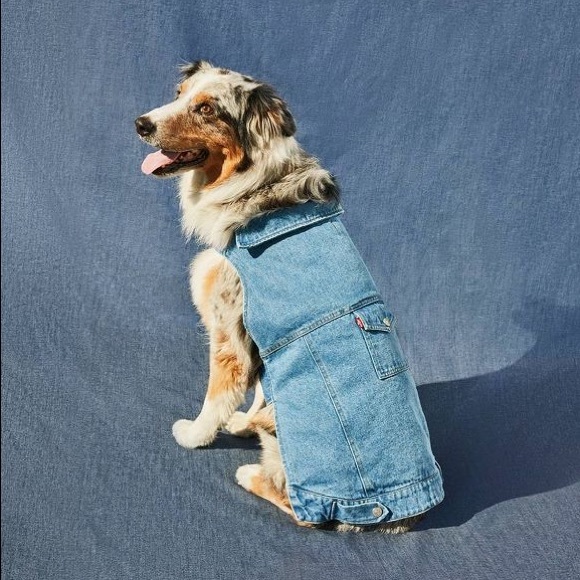 Levi's | Dog | Denim Pet Trucker Jacket 